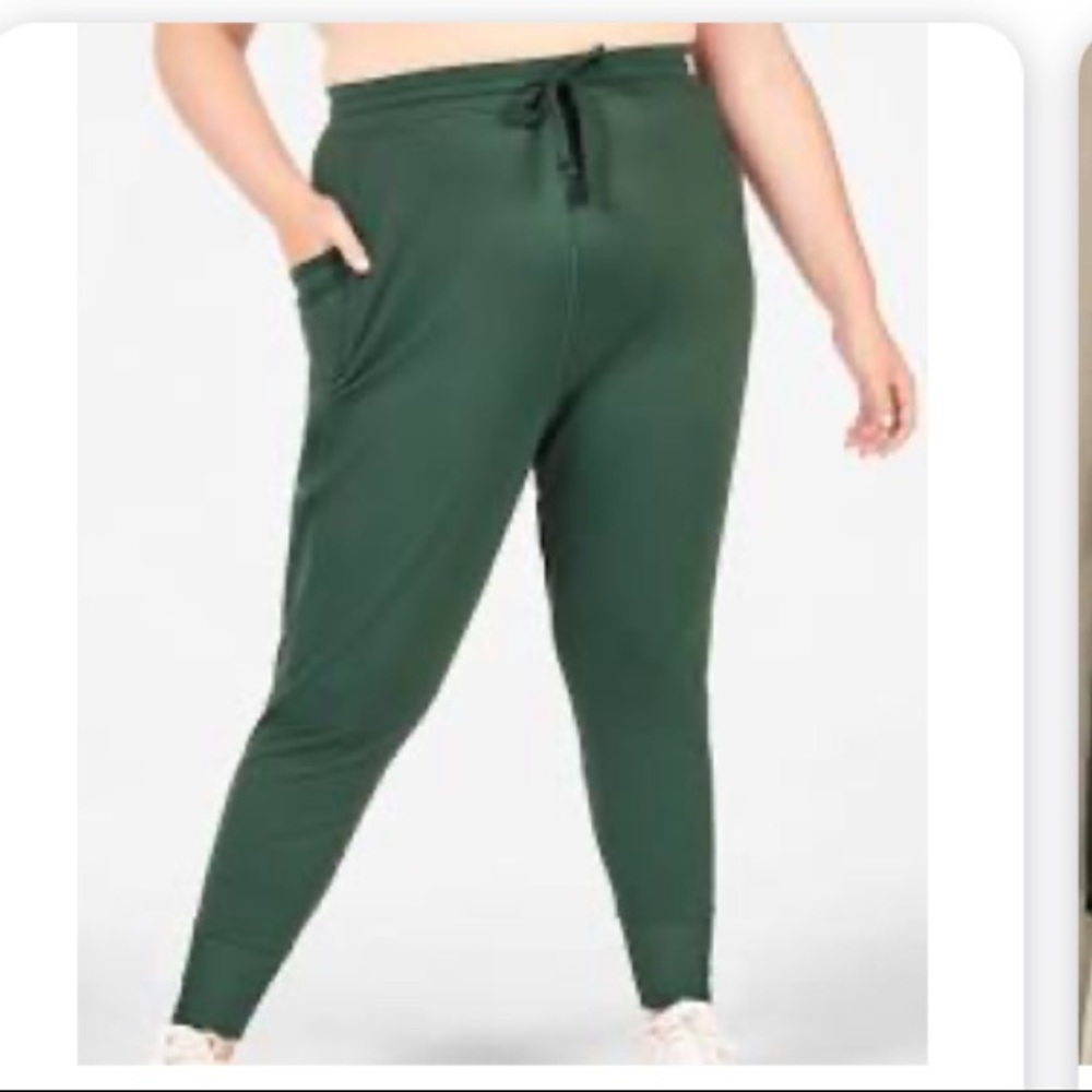 SOLD OUT Fabletics Cold Weather Jogger - Picture 4 of 4